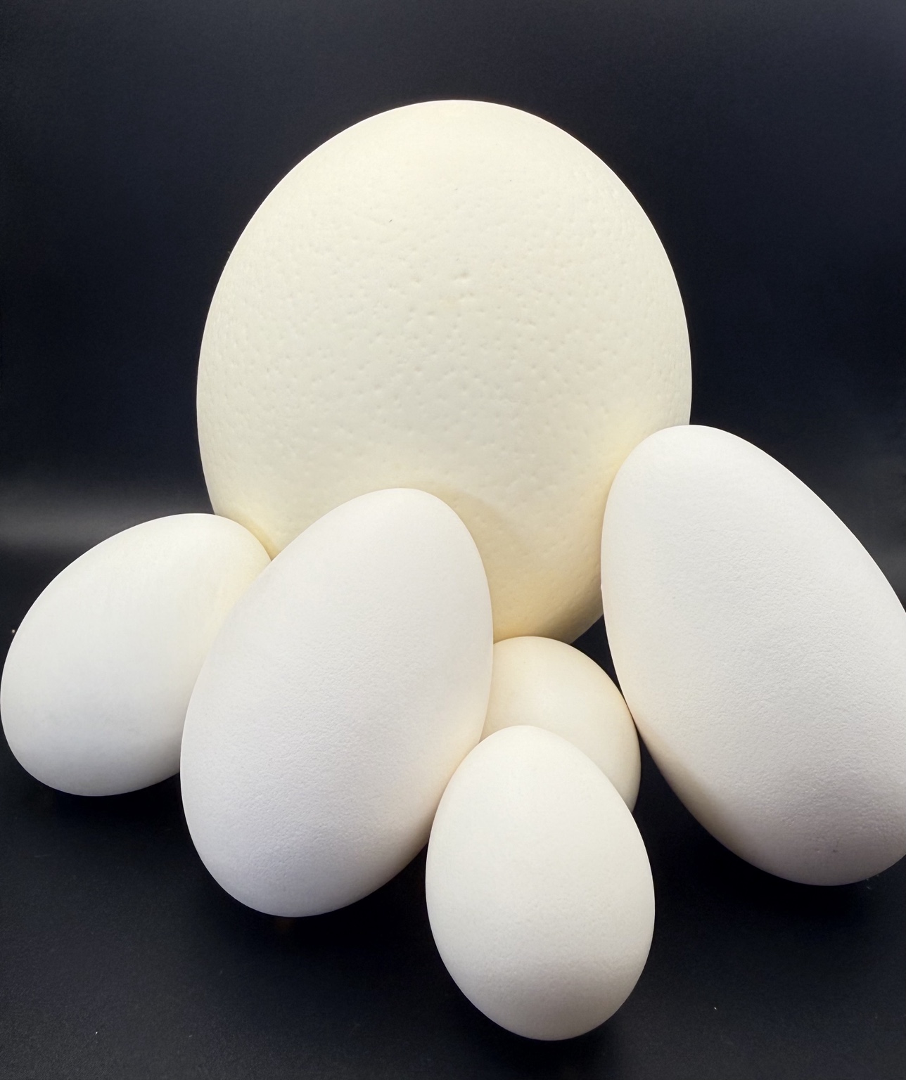 Natural undecorated eggshells in different sizes